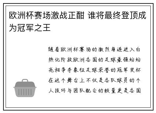 欧洲杯赛场激战正酣 谁将最终登顶成为冠军之王